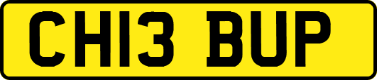 CH13BUP