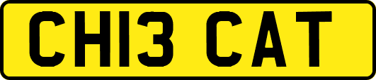 CH13CAT