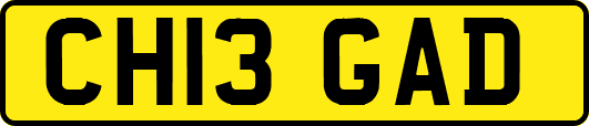 CH13GAD