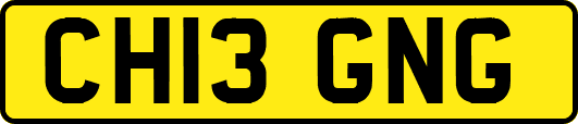 CH13GNG