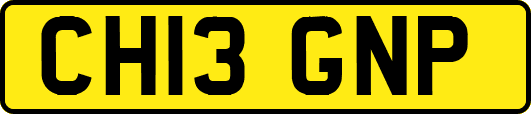 CH13GNP