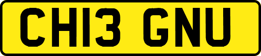 CH13GNU