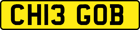 CH13GOB