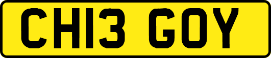 CH13GOY