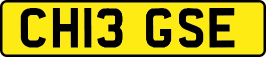 CH13GSE