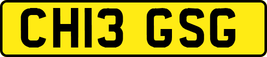CH13GSG