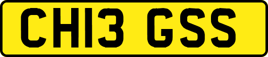 CH13GSS