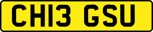 CH13GSU