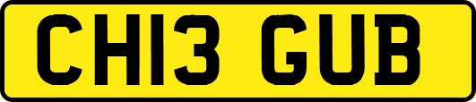 CH13GUB