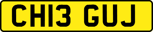 CH13GUJ