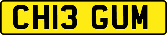 CH13GUM