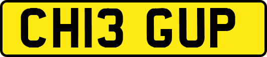 CH13GUP