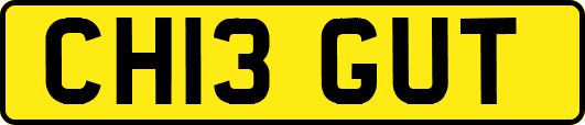 CH13GUT