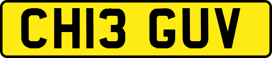 CH13GUV