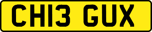 CH13GUX
