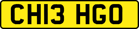 CH13HGO