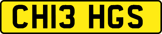 CH13HGS