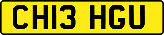 CH13HGU