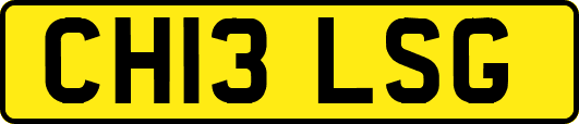 CH13LSG