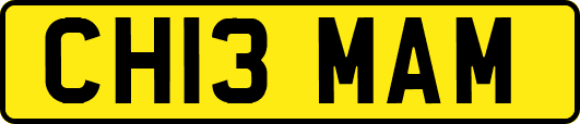 CH13MAM