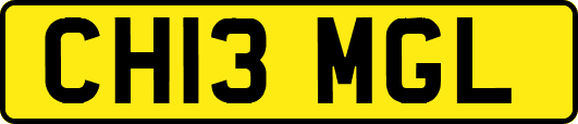 CH13MGL