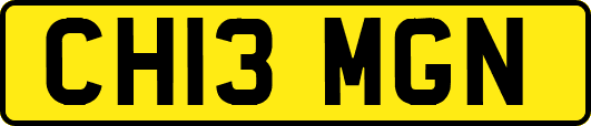 CH13MGN