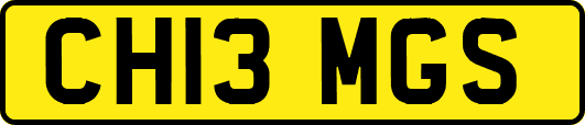 CH13MGS