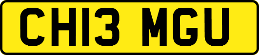 CH13MGU