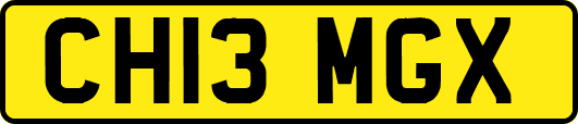 CH13MGX