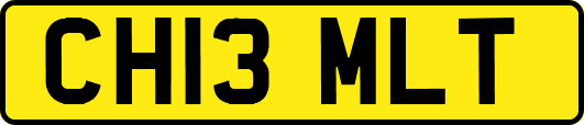CH13MLT