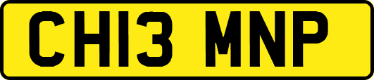 CH13MNP