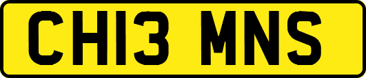 CH13MNS