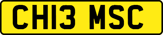 CH13MSC