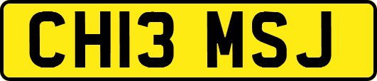 CH13MSJ