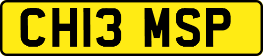 CH13MSP