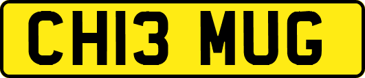 CH13MUG