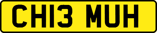 CH13MUH