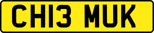 CH13MUK