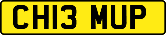 CH13MUP