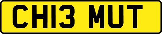 CH13MUT