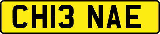 CH13NAE