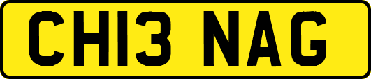 CH13NAG