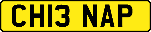 CH13NAP