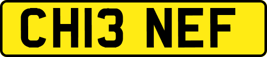 CH13NEF
