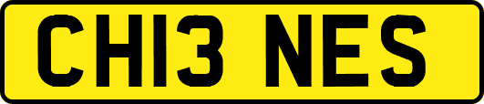 CH13NES