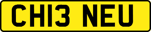 CH13NEU