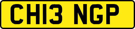 CH13NGP