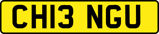 CH13NGU