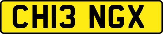 CH13NGX