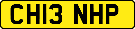 CH13NHP
